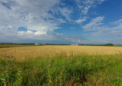 działka na sprzedaż - Pieszyce