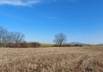 działka na sprzedaż - Świdnica (gw), Wilków